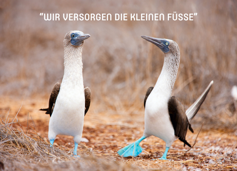 Wir versorgen die kleinen Füße - Kindereinlagen by ot-kiel